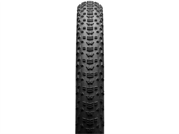 Lốp xe đạp Maxxis Aspen 27.5 29 x 2.1 Exo Tr